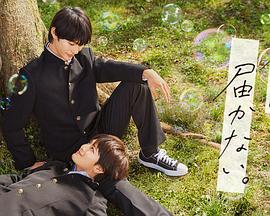 网站内外部优化要学什么